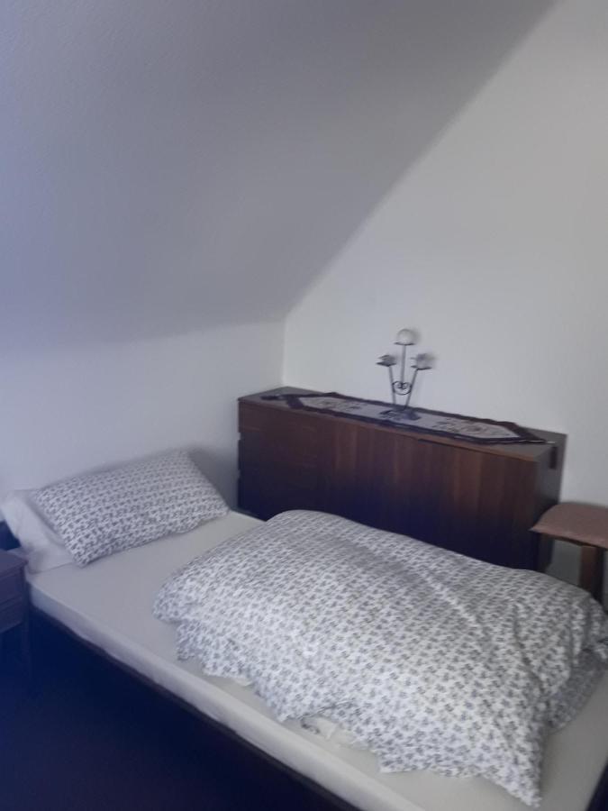 Fewo Mueller Appartement Saarlouis Buitenkant foto